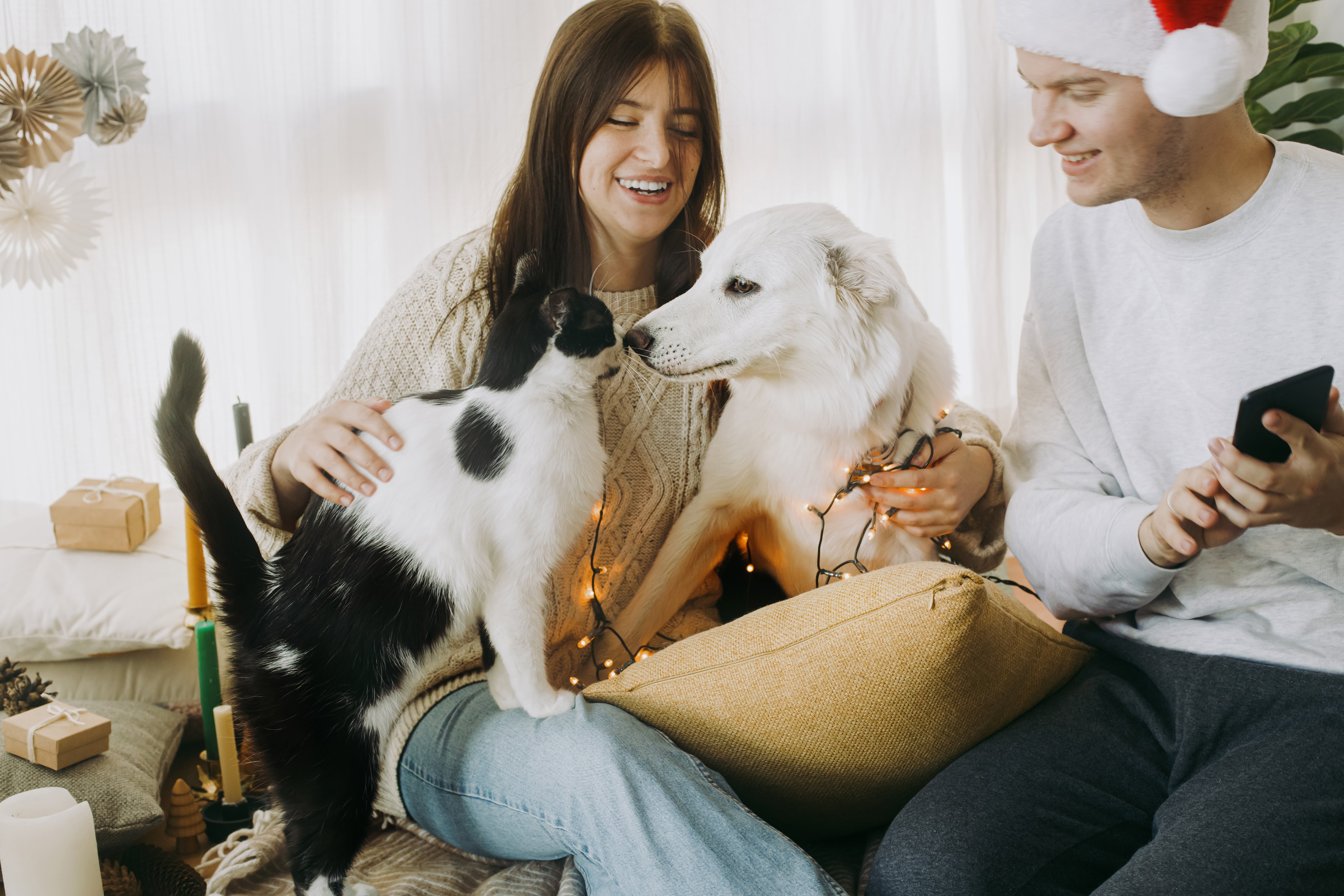 happy festive couple with cat and dog